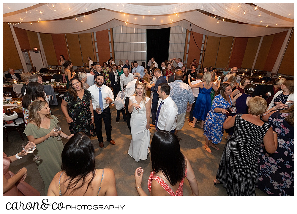 a bride and groom dancing with their wedding guests