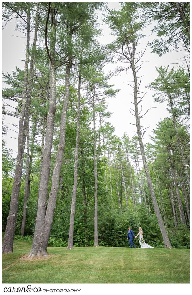 a bride and groom walk among tall trees at their Kingsley Pines Maine wedding