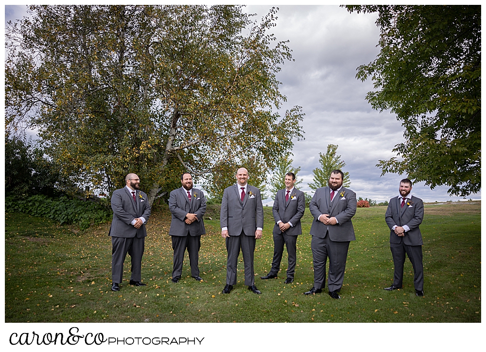 a groom and his groomsmen, wearing gray suits, are standing in a line in a grassy field
