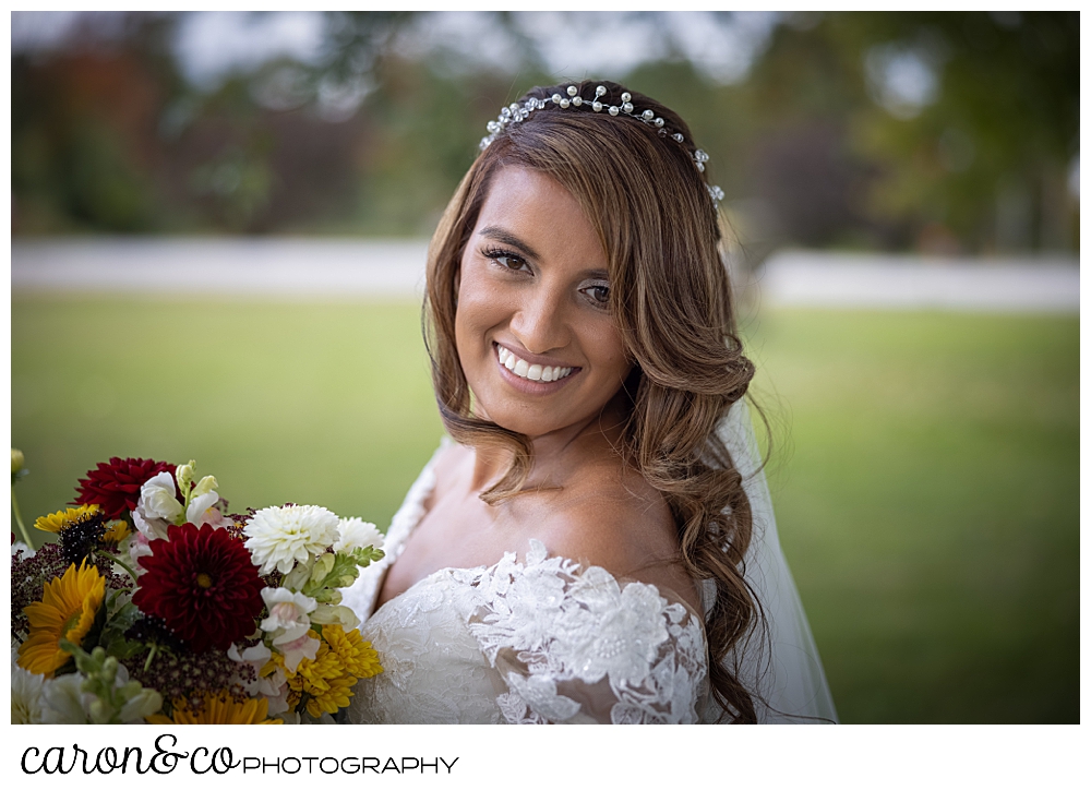 beautiful bridal portrait of a brunette, brown-eyed gorgeous bride