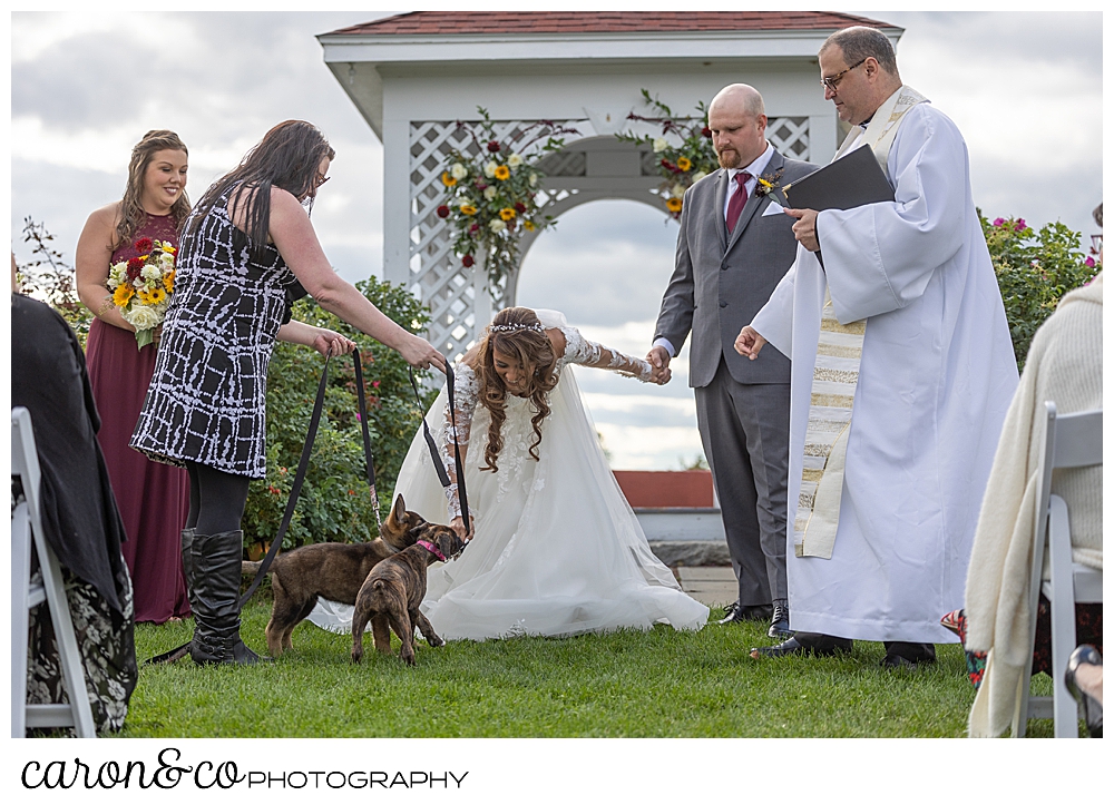 a bride and groom are preparing to walk down the aisle, and the bride bends to pet a puppy