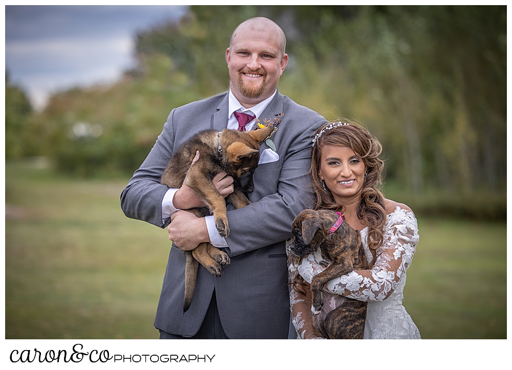 a bride and groom smile as they each hold a puppy at a wedding at Maine wedding barn in Minot Maine