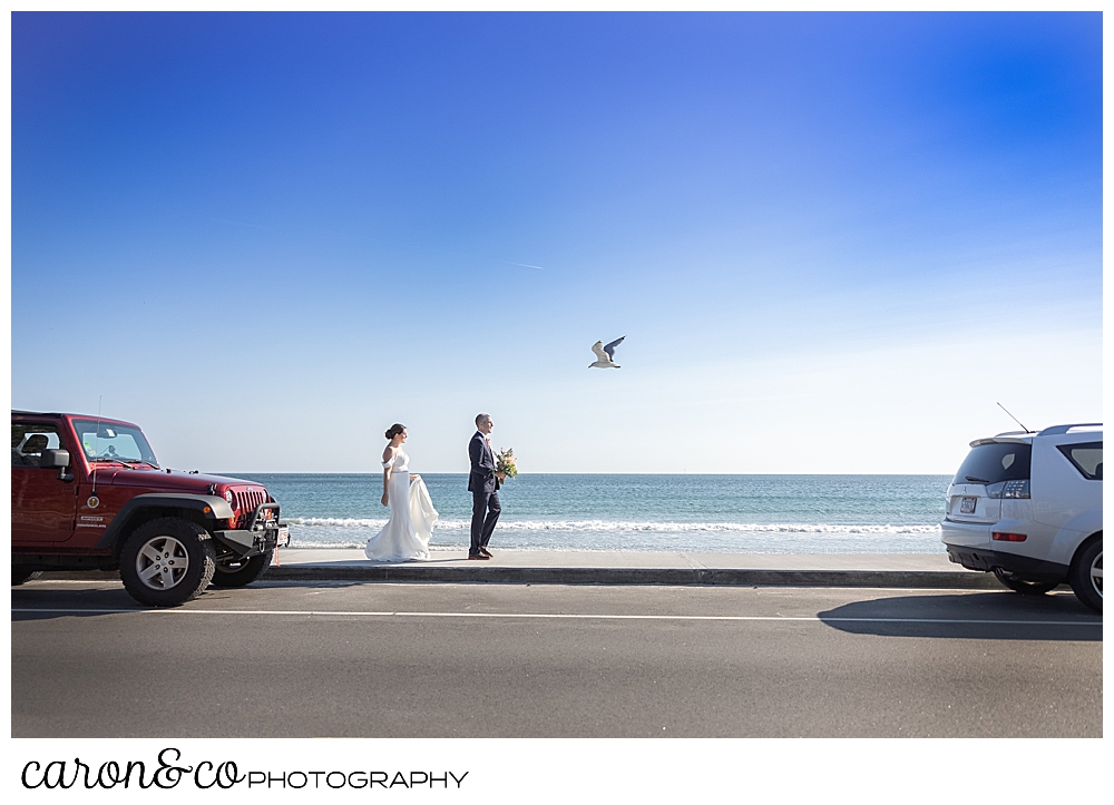 a bride and groom walk on a side walk between two cars at Gooch's Beach, Kennebunk, Maine, a gull flies overhead
