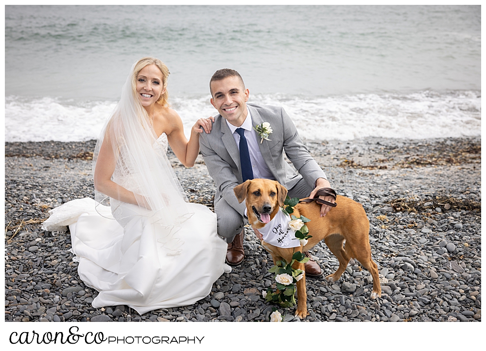 a bride and groom hunkering down with their dog at Colony Beach, Kennebunkport Maine
