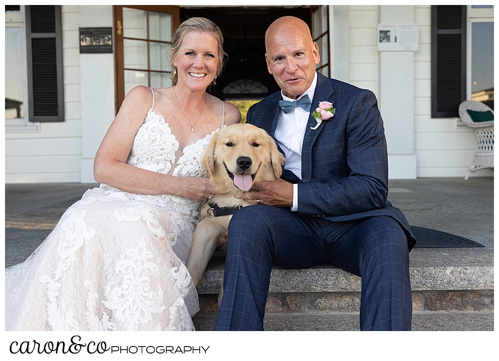 a bride and groom pose with their golden retriever on the front steps of the colony hotel Kennebunkport Maine