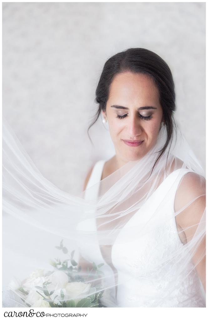 a beautiful bridal portrait with the bride's veil blowing to the side